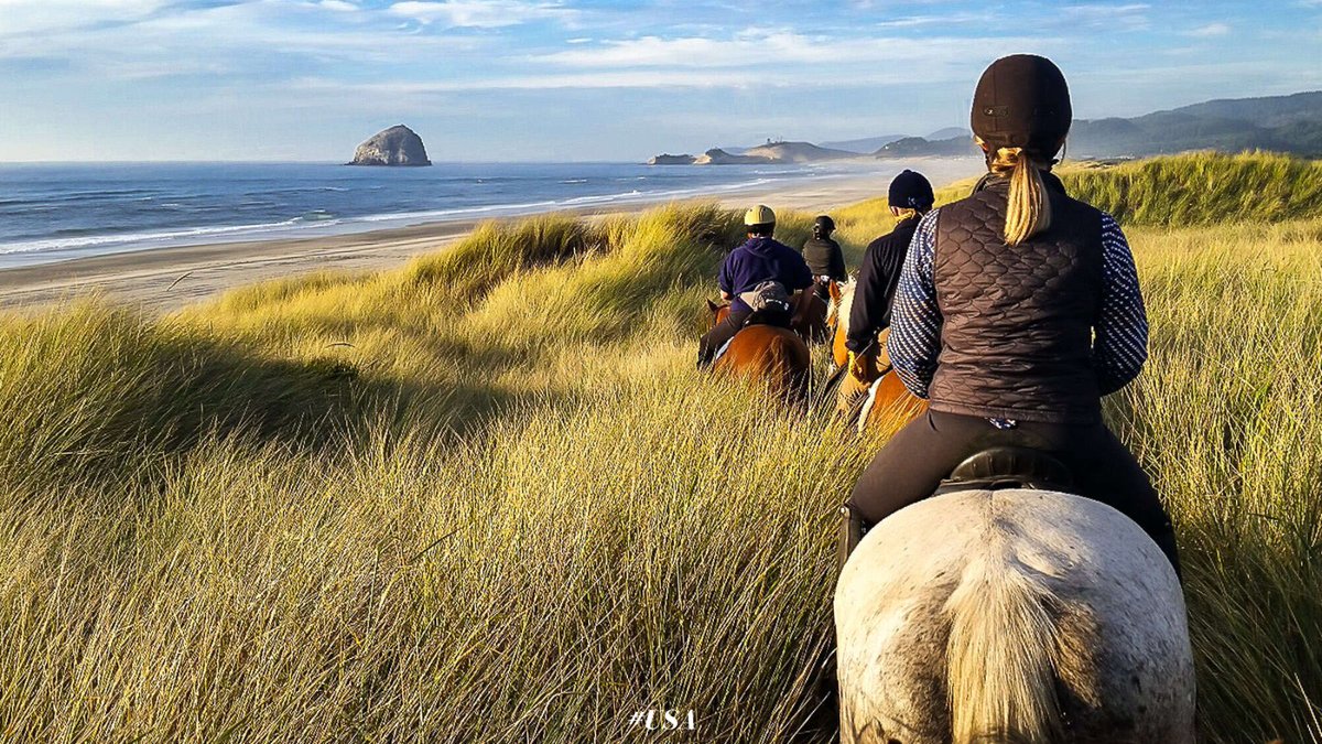 En route pour le week-end ! 🐎