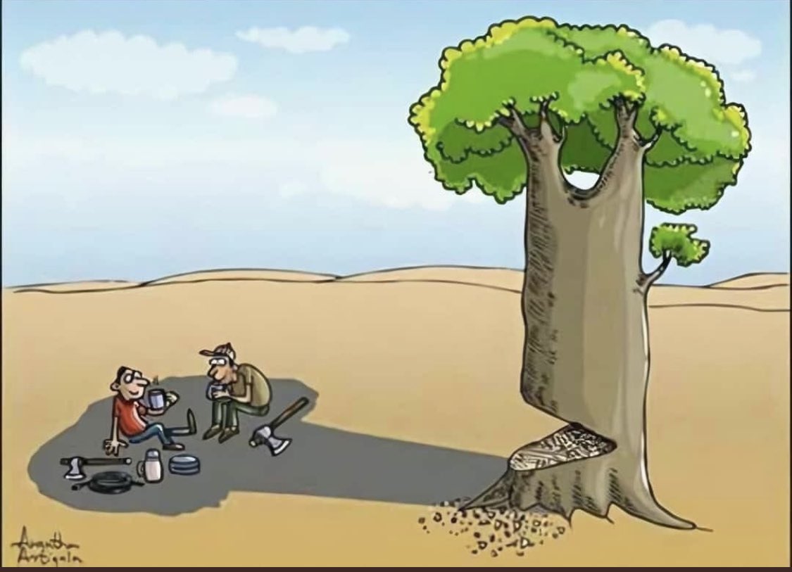 تذكّر أنك ستحصد قبح أفعالك يوماً ، لا مفر !