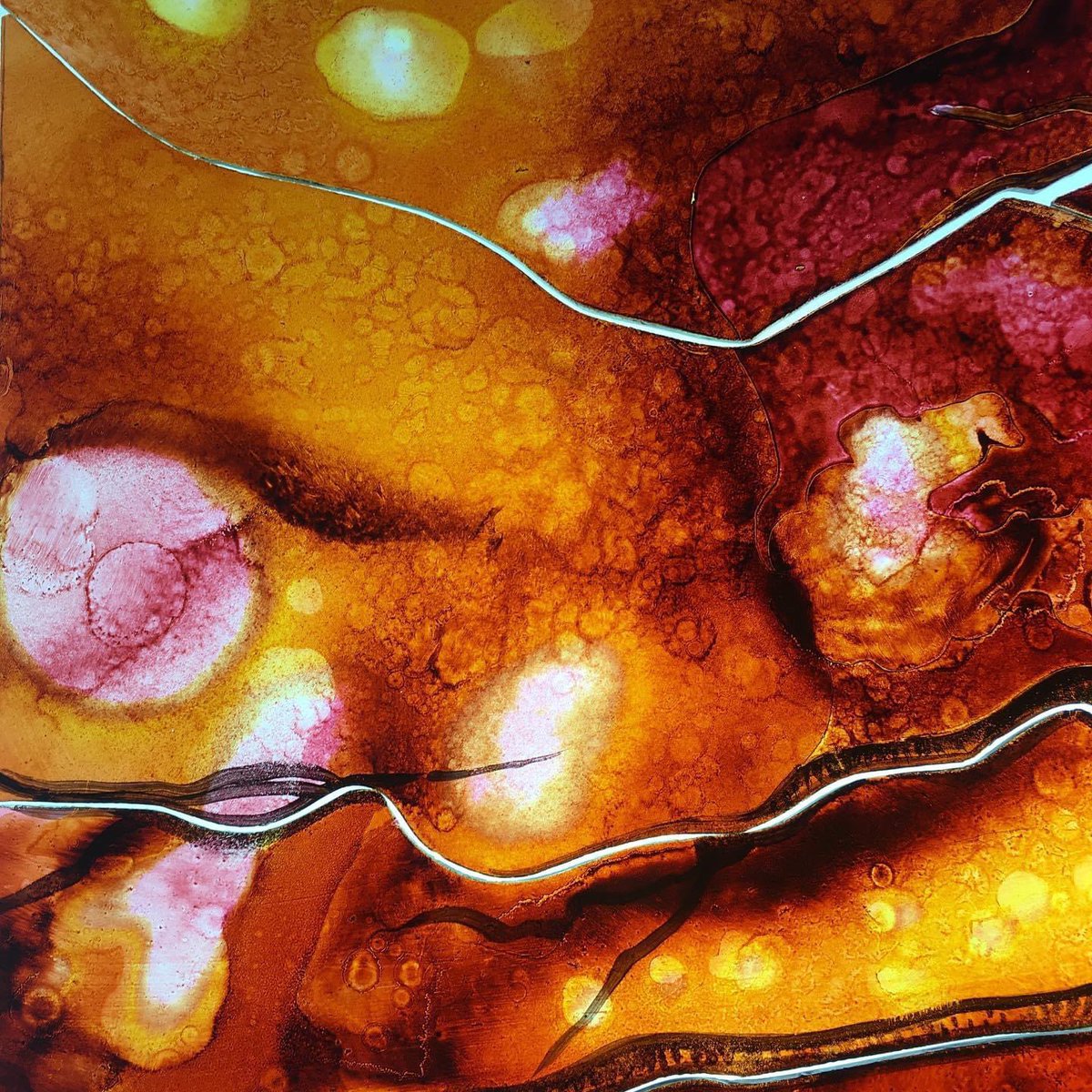 A collection of Autumnal Expressions.  
Acid etched and painted on glass 🍂#stainedglass #artist #autumn #glassart #handpainted