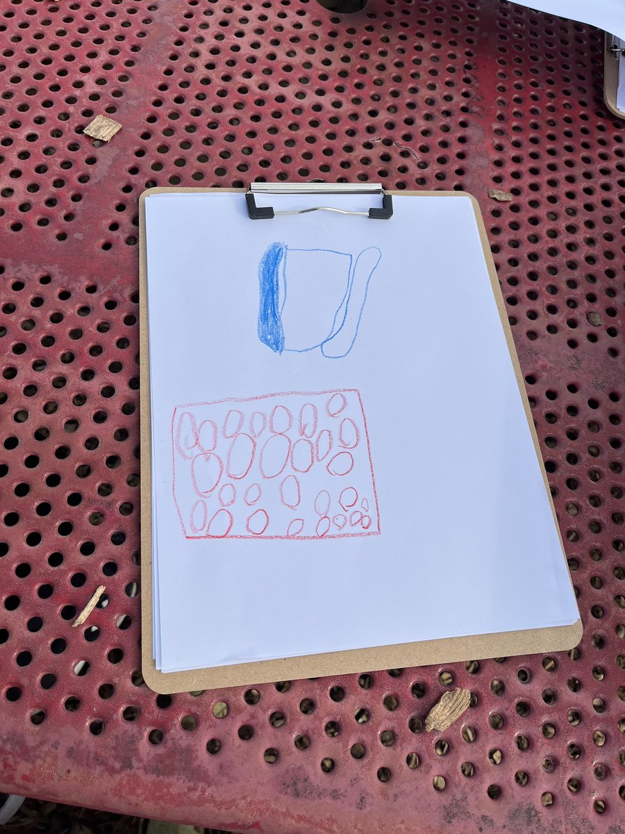 CheriZweng's tweet photo. We’re Going on a Shape Hunt! Students went outside and observed different shapes. They began to draw them out on their papers and create their own book! What a wonderful way to learn about shapes through real world experiences!#mylsps #dklsps https://t.co/OAaA067atj