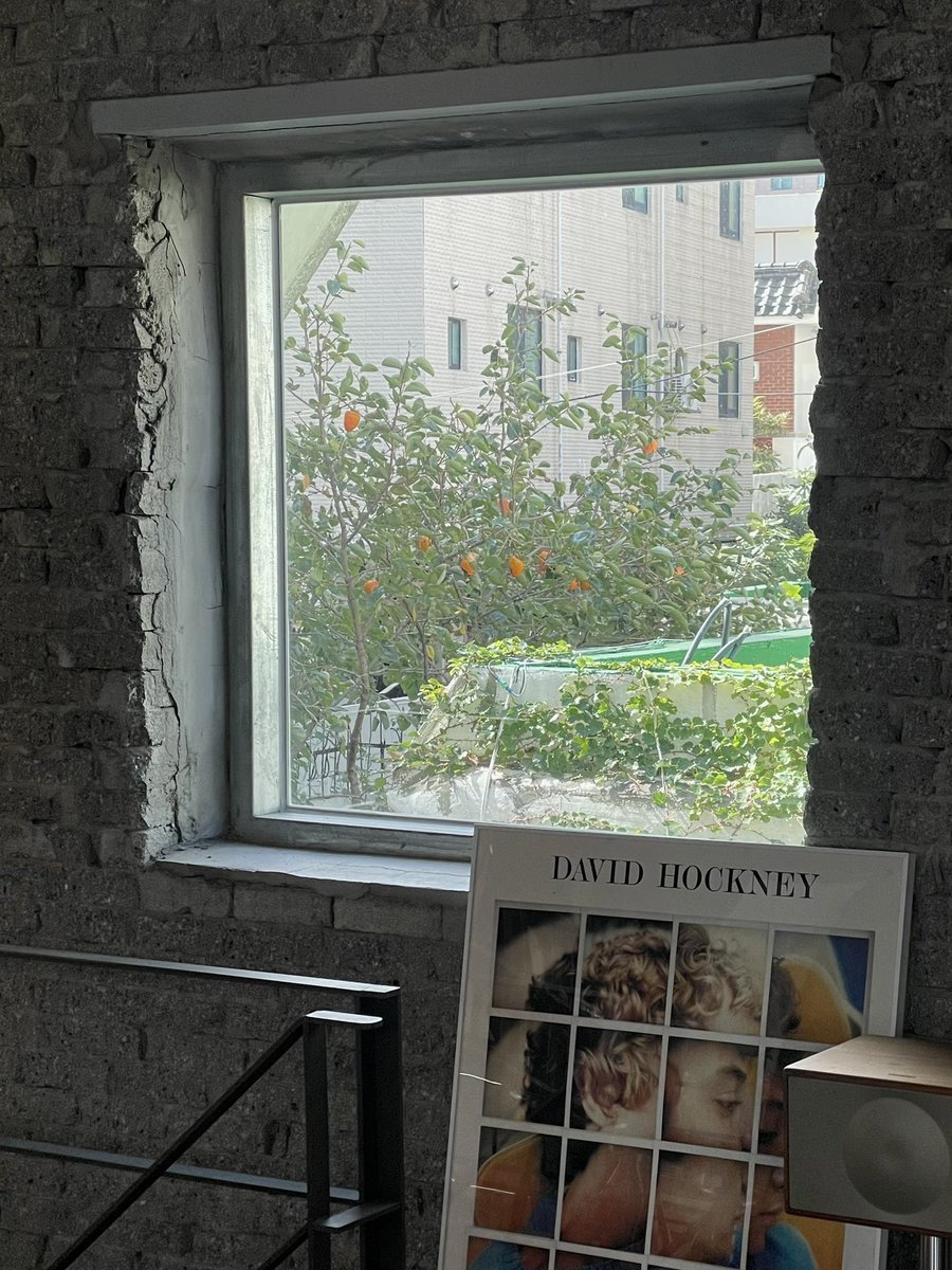 마딛엇던 브런치 자랑 🥐🍻