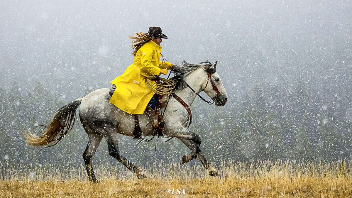 Embarquez pour le week-end ! 🐎
