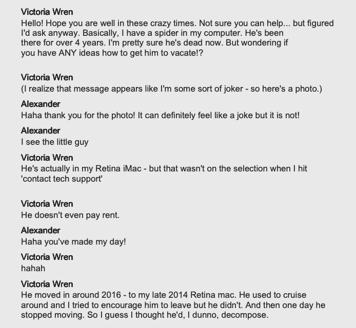 Victoria Wr3n tweet media