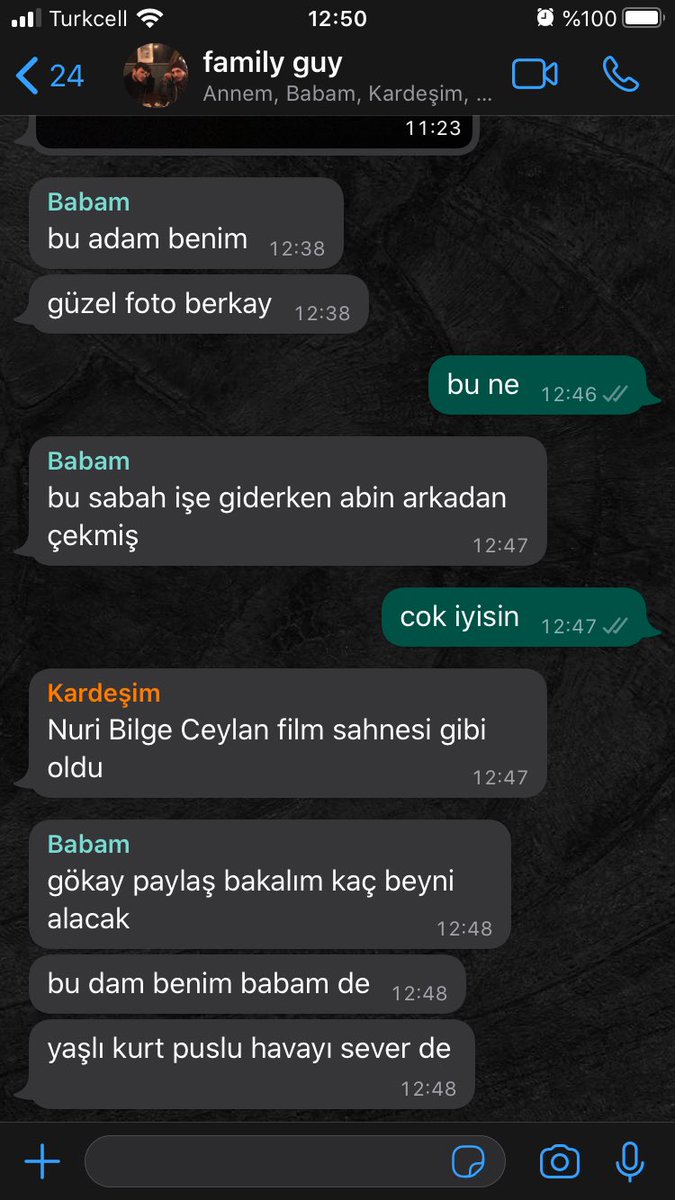 yaşlı kurt puslu havayı sever