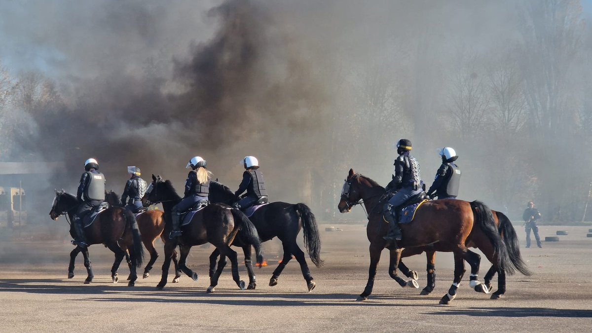 tvp3_lodz's tweet photo. Atestacja koni policyjnych na terenie  Oddziału Prewencji Policji w Łodzi. Egzamin właśnie teraz zdaje 5 koni służbowych z Zespołu Konnego Wydziału Prewencji KPP w Tomaszowie Mazowieckim z siedzibą w Smardzewicach.
#StrażMiejska #policja #konie #atest https://t.co/DrY6MXvC1I