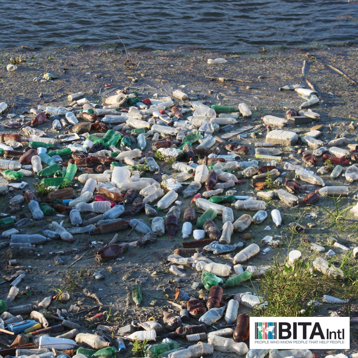 BITAIntl's tweet photo. BITA are striving to be more #beplasticaware as part of our global forum. This is an initiative to increase awareness of the impact of plastic pollution across the world and will continue to be a long-term focus of BITA.
Read more: https://t.co/TCg5LGvODk
#plastics https://t.co/hMqXSoA6oY
