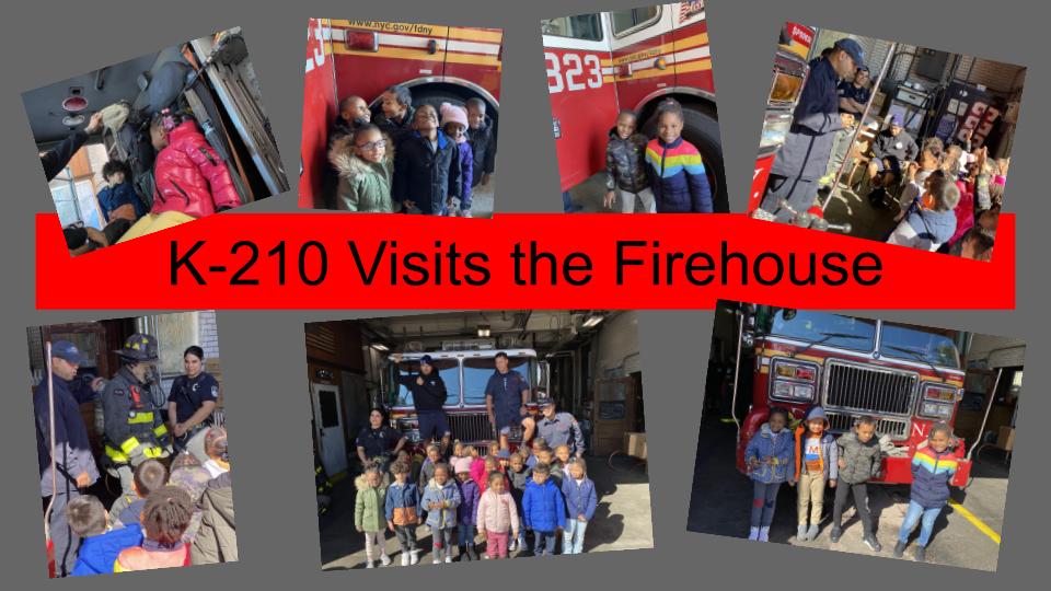 P.S. 203 tweet media