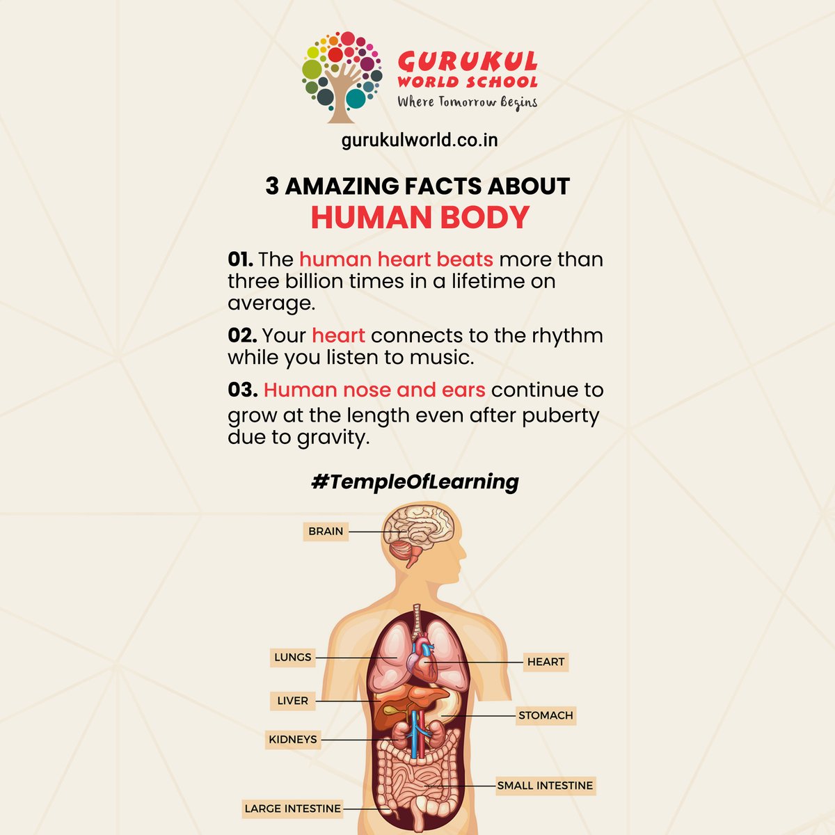 GurukulWorld's tweet photo. Do you know that when you listen to music, your heart rhythmically responds? Interesting, Right? For more fascinating body facts, see our most recent post.

#TempleOfLearning #GurukulWorldSchool #CBSESchoolInMohali #Education #School #SchoolLife #Learning #LearningThroughPlay https://t.co/mnOIxex2p0