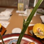 ツイートに含まれる画像