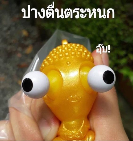 เฟsม แอคจริง 1 ล้านฟอล tweet media