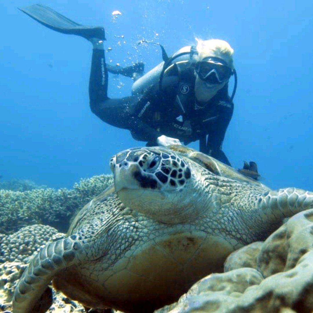appamondo's tweet photo. Everyone say hello to Lynsey who has joined the Appamondo Team! 
 🙌☁️

Lynsey has a passion for swimming, scuba diving and the deep blue sea. How cool!? (Check out this turtle-y awe-inspiring picture below 👇)

#Appamondo #MTT #SaaS #SalesTeam #DreamTeam https://t.co/VtzT4FJixh
