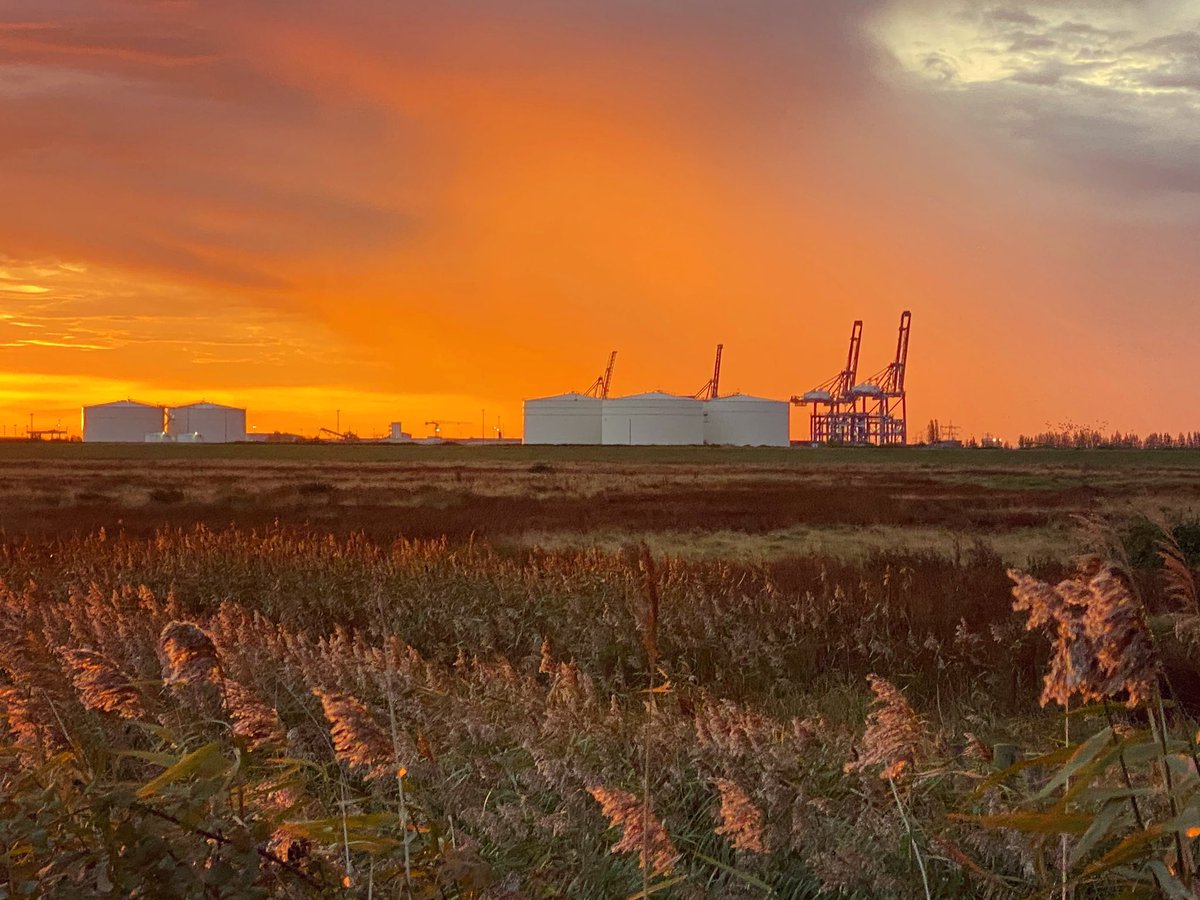 AmeliaGregory's tweet image. On holiday on the Isle of Grain. Many memories from when I was wrongfully arrested at the Climate Camp Kingsnorth demonstration and bailed on the condition that I did not come near Grain. 
.
#climatecamp #isleofgrain #sunrise #grainsunrise #eastkent #kentlife #kentsunrise