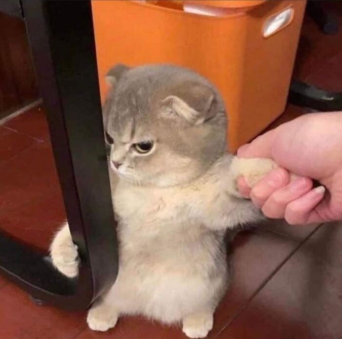 jihoownie's tweet photo. iiihhh ayo pulang sudah magrib!!! 😡💢 https://t.co/zrTUYB9Ubp