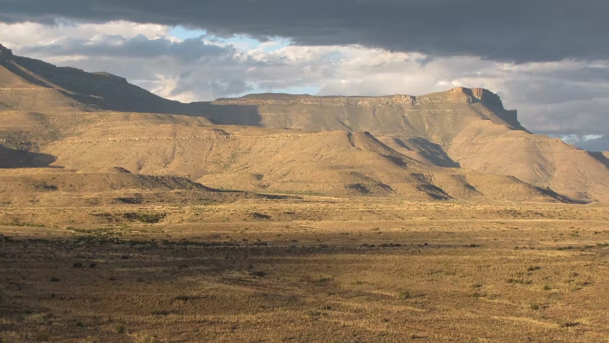 Prof Bruce Rubidge looks at biodiversity changes over hundreds of millions of years – through his research and collaboration with other researchers, they determined that South Africa is home to some of the oldest fauna in the world. 
#TEDxJoburg #lifepastpresentfuture