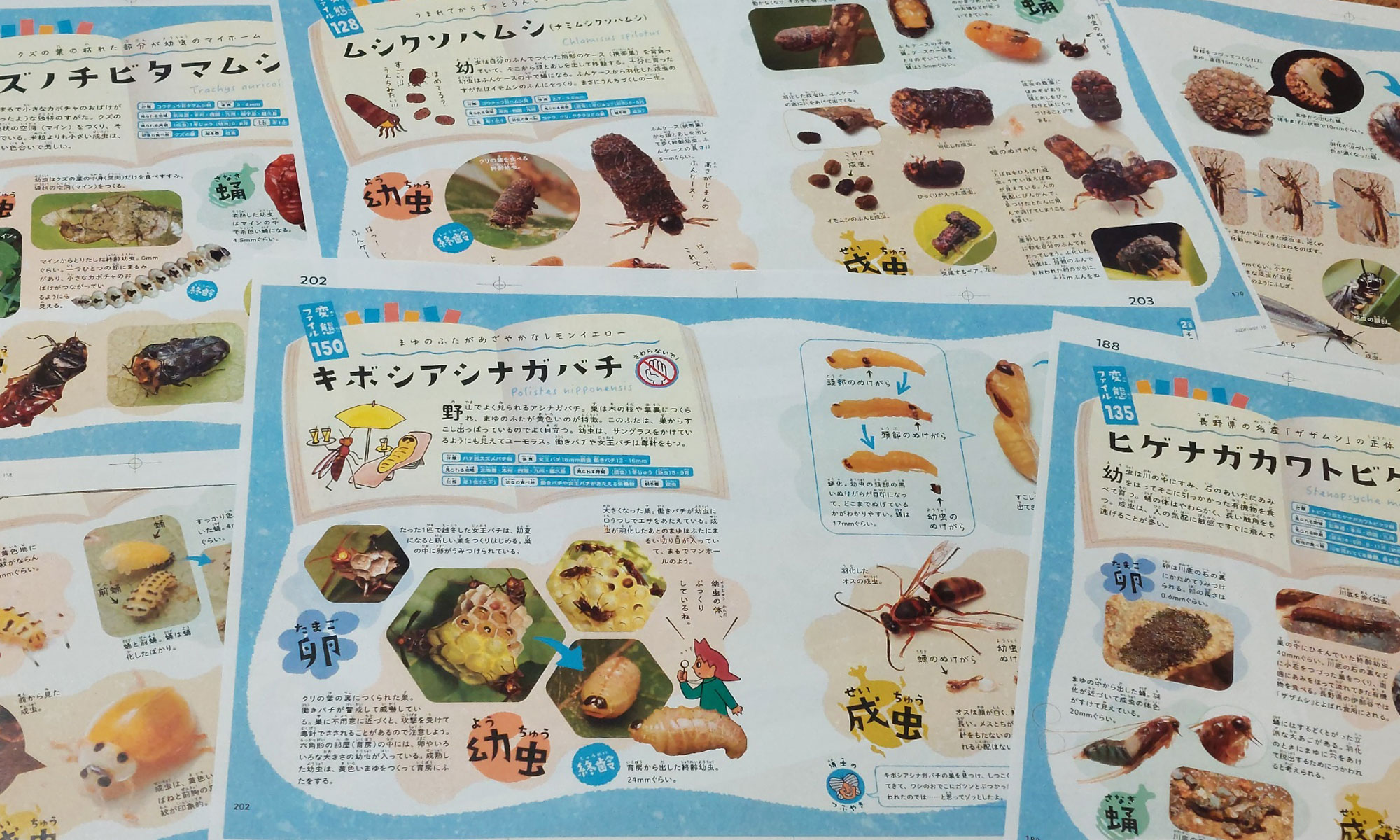 生きかたイロイロ！ 昆虫変態図鑑kodo-mall(こどもーる)／ポプラ