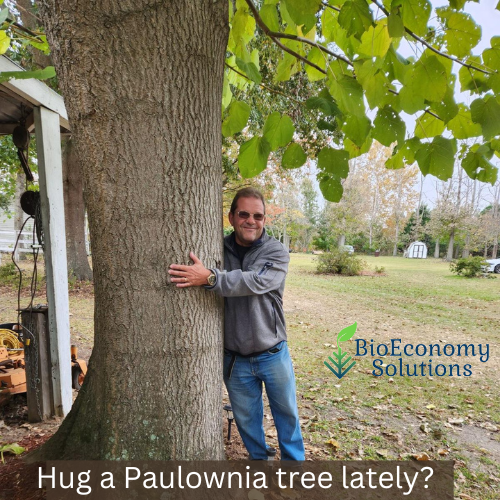 Algae4Gas's tweet photo. South Carolina Paulownia Trees Get HUGE !!! https://t.co/pR7RFXNZC0
Have you seen how big our South Carolina Paulownia trees are? Yes we are tree huggers.
#paulownia #paulowniatree #paulowniawood #paulowniatimber #kiriwood #kirilumber #kiritree #empresstree #paulowniaveneer https://t.co/VPoePr7U0G