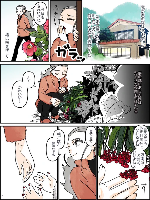 嫉妬深い椿とマウントをとる万両の話 
