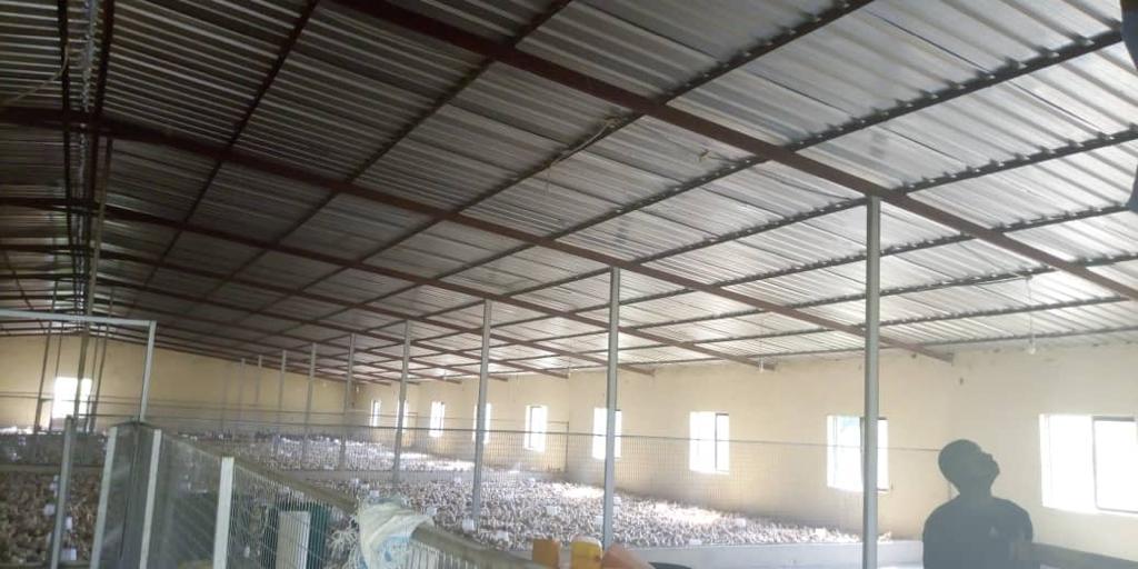 wellprodevelop1's tweet image. Poultry and farmland for sale@kwali gwagwalada, size 42.82 hect with r of o bill partly paid for.
Price N550mill, very good location close to the gwagwalada river. Angela.wellpro

For more information, contact 08185520099, 08185570099.
#realestate #wellprodevelopers #fisayo #tems