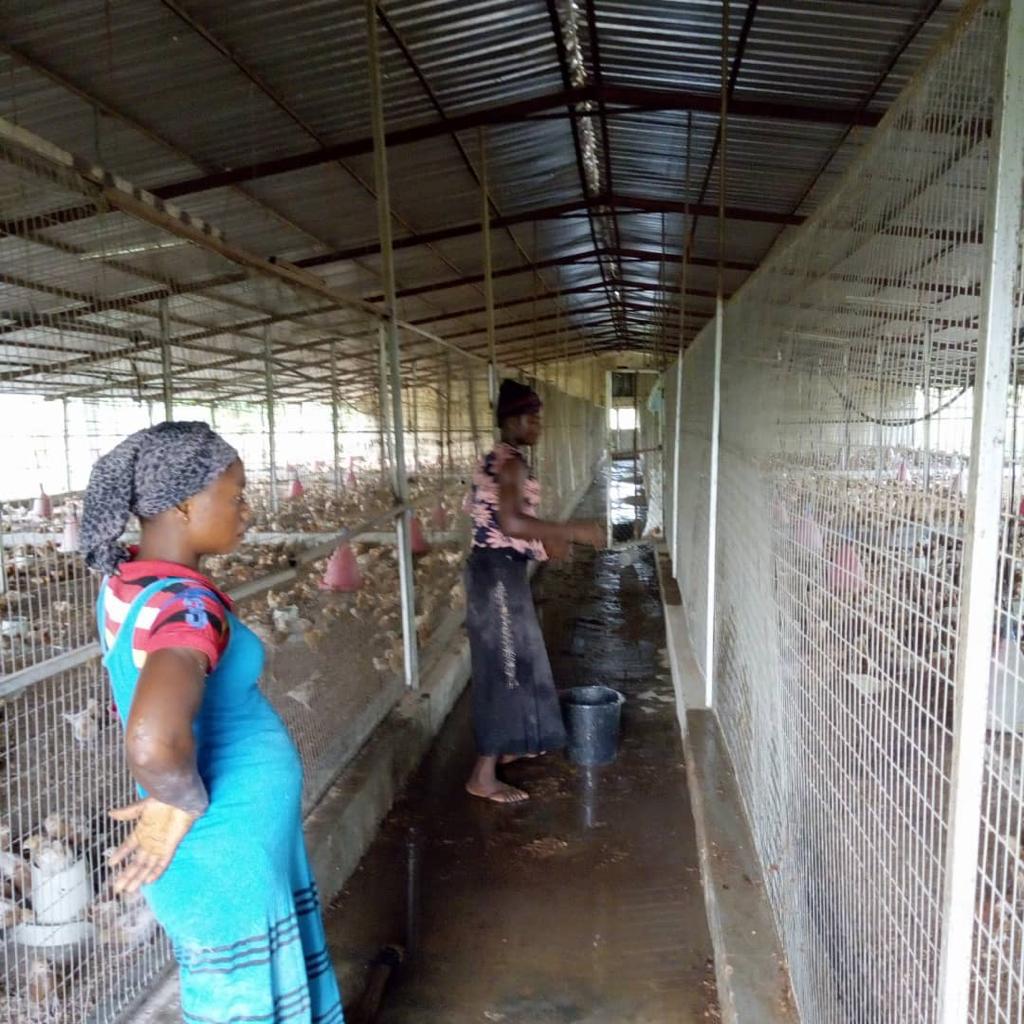 wellprodevelop1's tweet image. Poultry and farmland for sale@kwali gwagwalada, size 42.82 hect with r of o bill partly paid for.
Price N550mill, very good location close to the gwagwalada river. Angela.wellpro

For more information, contact 08185520099, 08185570099.
#realestate #wellprodevelopers #fisayo #tems