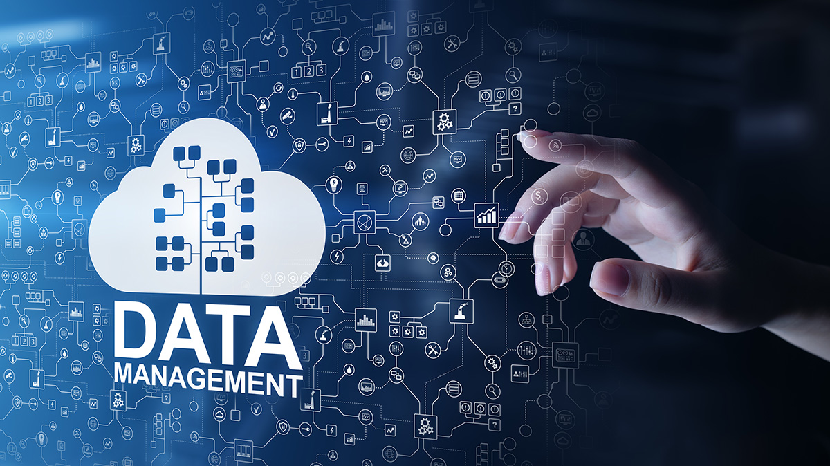 CSCfi's tweet photo. Tailored #EUDAT services are designed to provide additional options to the common data services and promote good #data #management. In their blog, @TommiKutilainen and @AnttiPursula will go through three examples of customized data services. https://t.co/SKl9kUXNkG  @Eudat_eu https://t.co/rvQunnp0A8