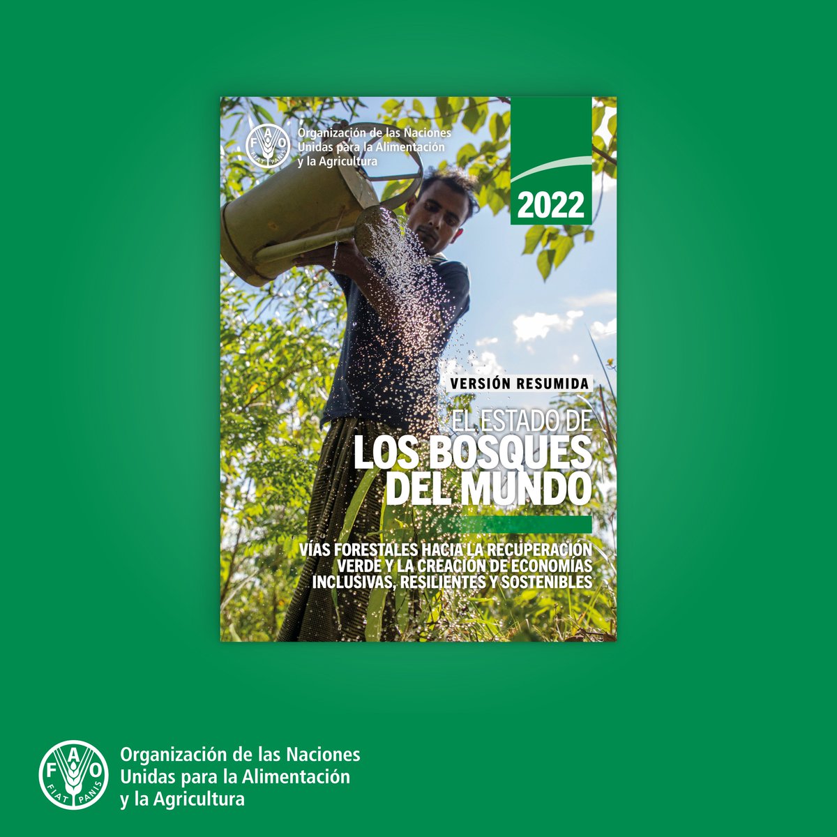 📗El informe El Estado de los Bosques del mundo 2022 #SOFO2022🌳🌲, analiza cómo Argentina, Brasil, Colombia, Guatemala, Perú y otros países de la región han avanzado en iniciativas sostenibles y resilientes

<a href="/FAOForestry/">FAO Forestry</a> | <a href="/FAOclimate/">FAO Climate Change & Biodiversity</a> | <a href="/WFCKorea/">WFCKorea</a> 

Más 👇fao.org/americas/notic…
