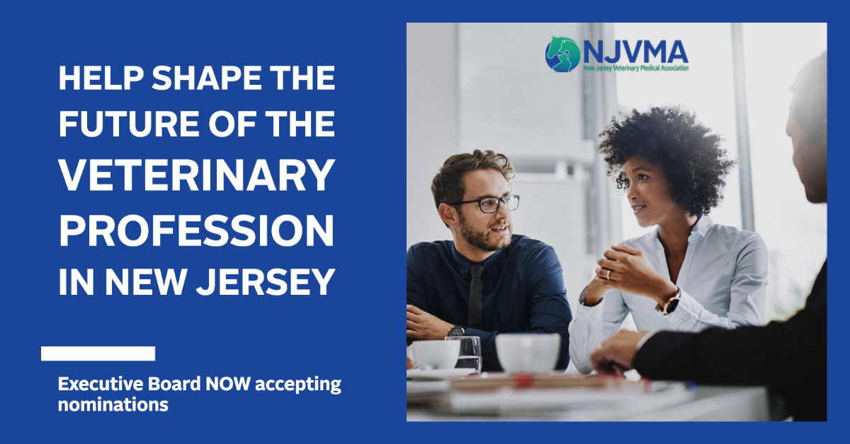 Tweet by New Jersey VMA