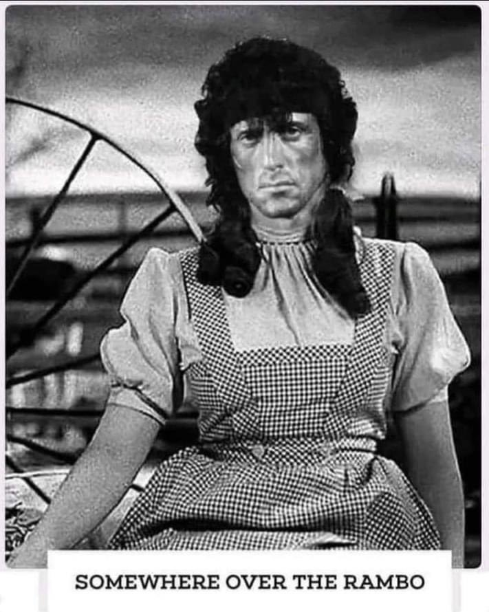 Bíó Paradís (@bioparadis) on Twitter photo 