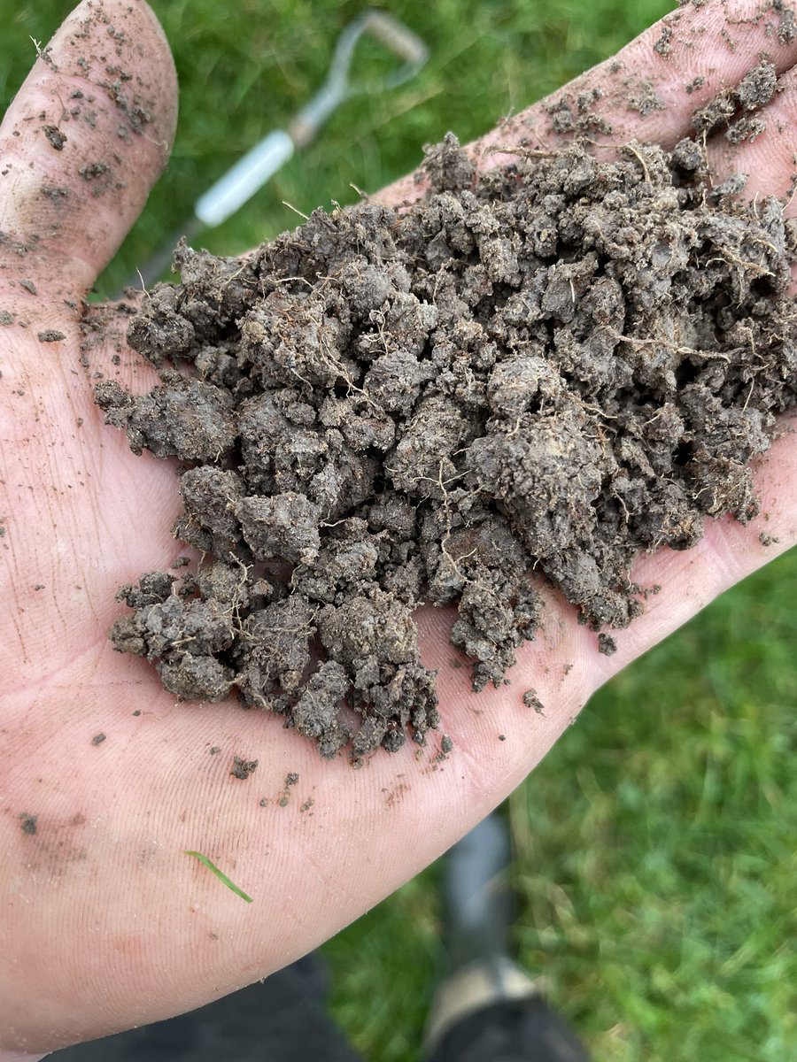 SammyersAg's tweet photo. Clay/loam six inches deep after 54 millimetres of rain over the past week. Plenty of moisture in the top 4 inches but nearly bone dry at the bottom https://t.co/SIeLjxyG8s