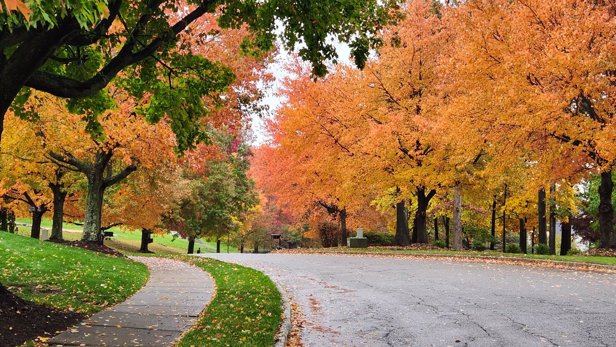 Love this time of the year.