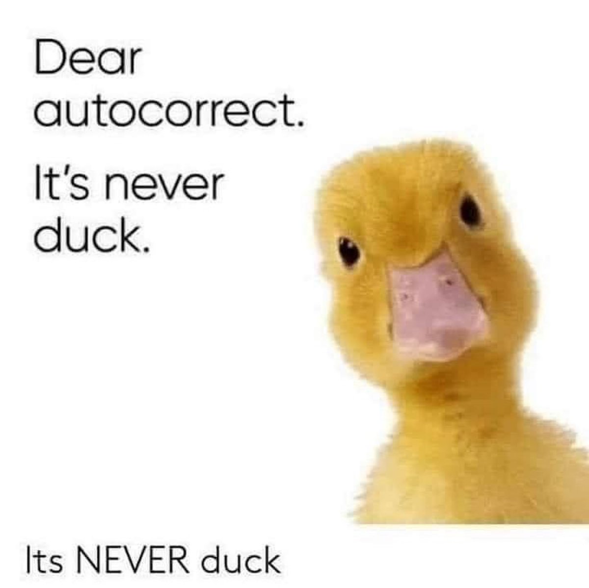 Oh autocorrect 🦆?🙈