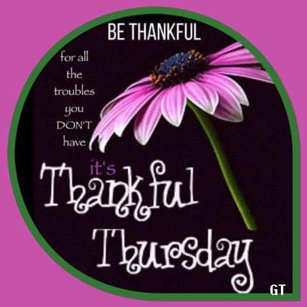 with_sue's tweet photo. May the blood of the Lord Lamb cover you &amp; family this day. 
Jehovah Shalom is your strength today hold up your day in Jehovah Rafa a Boldness like no other Beloved Blessings to your hearts of forgiveness walking that Awesome walk. Jump for Joy My Sister's and Brothers https://t.co/YhVsvnw1CB