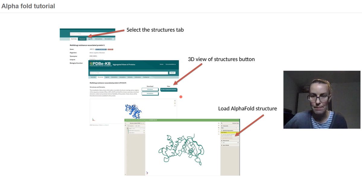 AtomsAlice's tweet image. Really exciting to teach our bioinformatics students cutting edge science - how to view alpha fold predicted models for each of their assigned proteins. Thanks to @PDBeurope and PDBe-KB for making such nice search and online viewer tools #AlphaFold #wlvsbio #notinatextbookyet