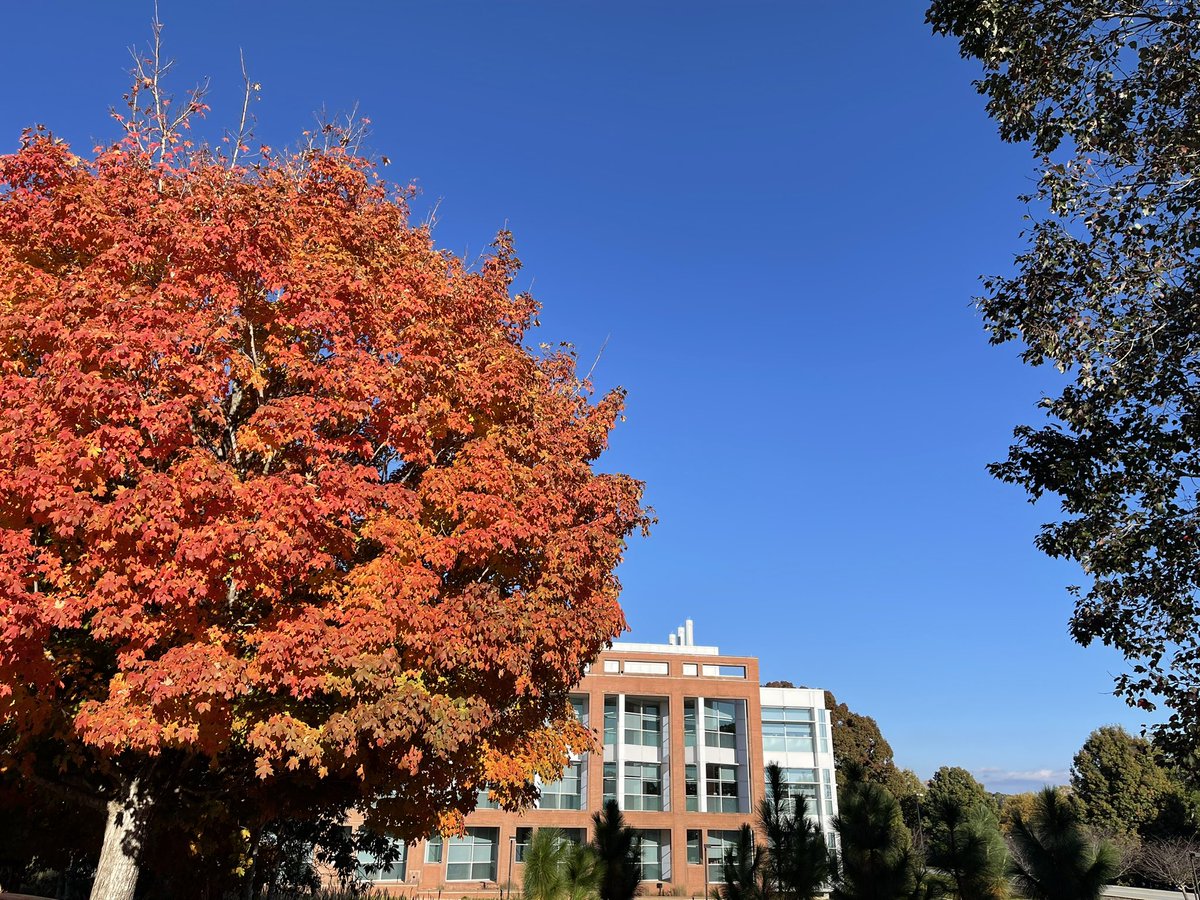 🚨This is your friendly reminder that we are hiring!🚨 We invite applications for a tenure-track ASSISTANT PROFESSOR position!

For full consideration, please apply by November 4, 2022. 

The posting can be found here: apply.interfolio.com/115386