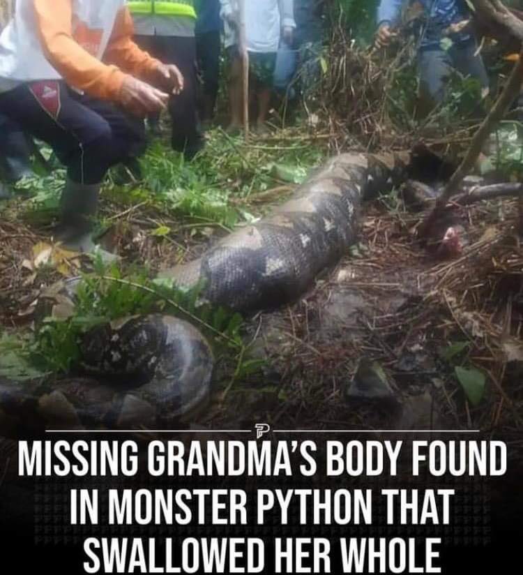 meerkat_mob's tweet image. GM #Cardano 🌞

RIP Grandma but imagine telling your work this excuse as to why you can’t make it in. 

#CNFTCommunity #ThursdayThoughts #CNFT #CardanoNFT #MeerkatMob