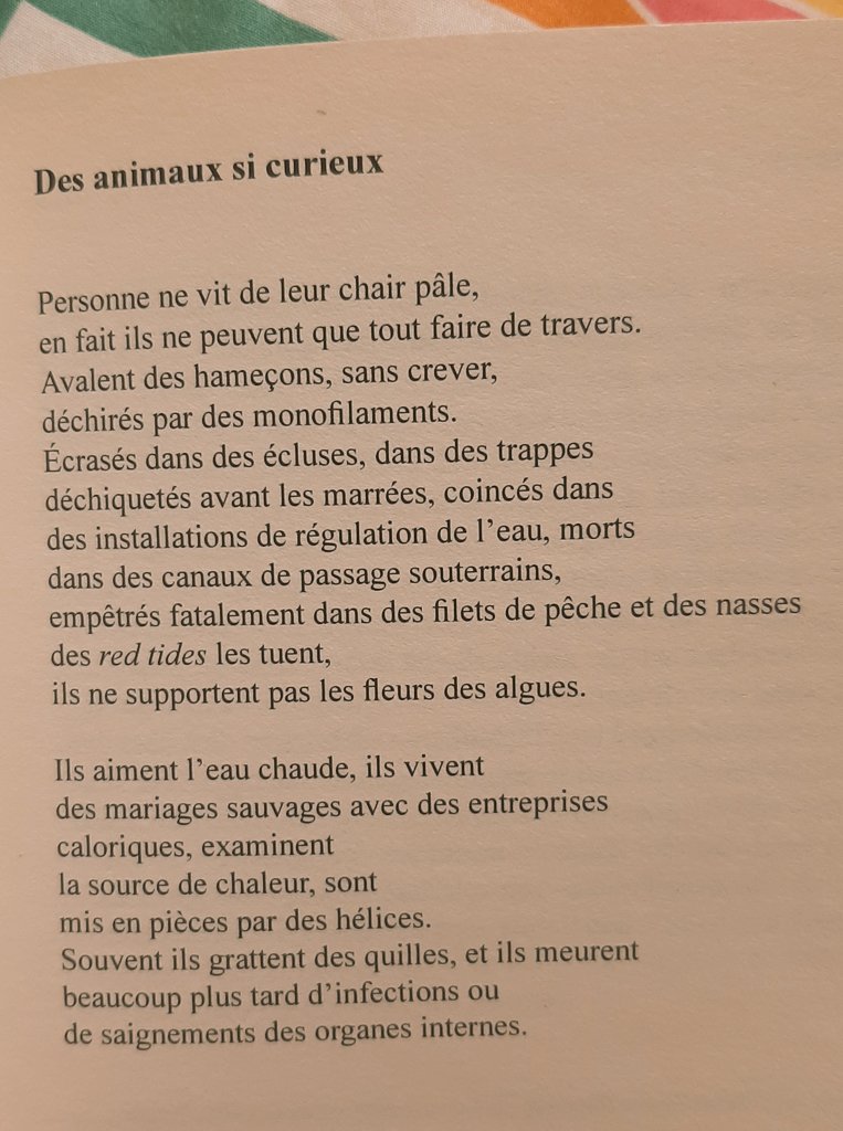 keyvansayar's tweet photo. Ce matin c'est #AnnCotten qui a répondu à mon #fal par un #poème assez sombre sur des animaux curieux... que nous sommes?

"Personne ne vit de leur chair pâle
en fait ils ne peuvent que tout faire de travers..."

Ed. MaelstrÖm réÉvolution https://t.co/3Q9ss4BEeP