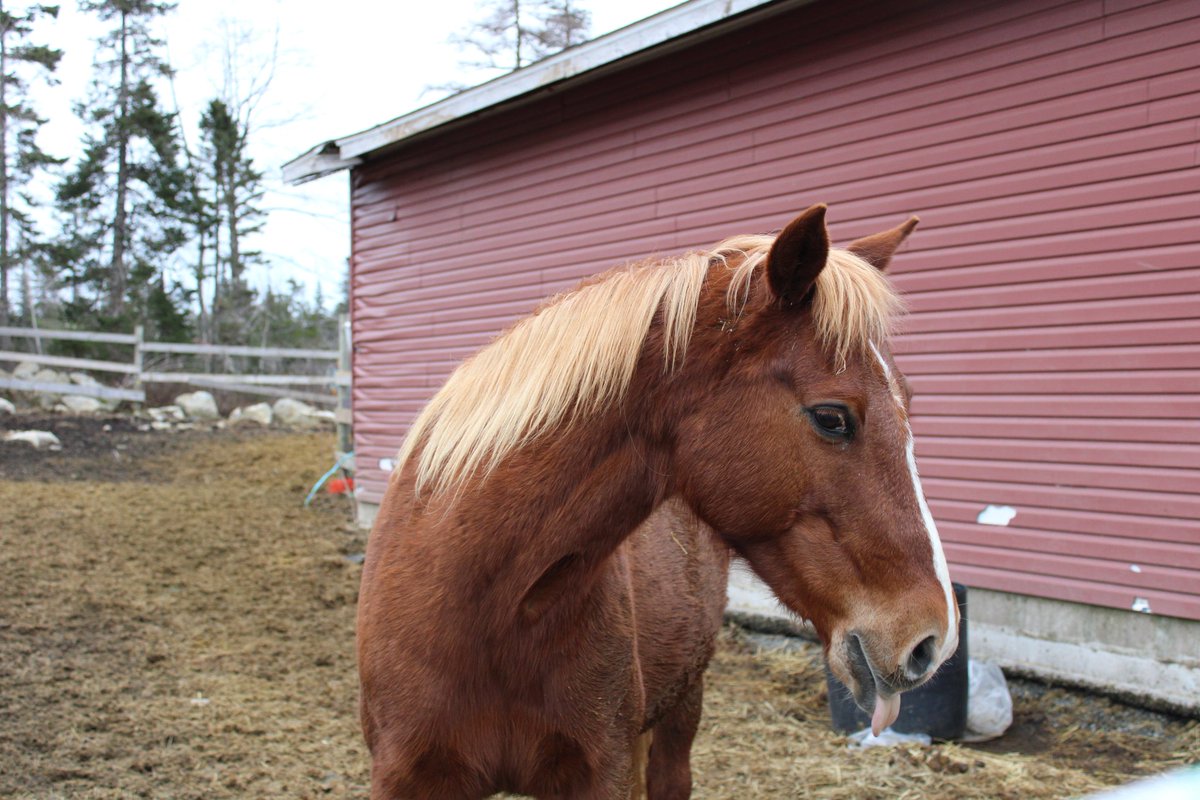 Wishing you all a beautiful day ❤️