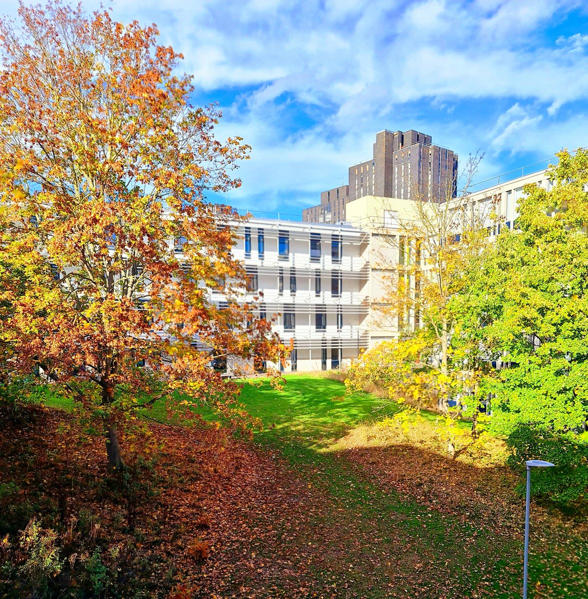 Blends of modern architecture with the tranquillity of the natural world can be found all over our #ColchesterCampus

If you've got fond memories of studying, teaching or living here (or maybe that's you right now!) help to get our campus recognised: okt.to/7JyXnC