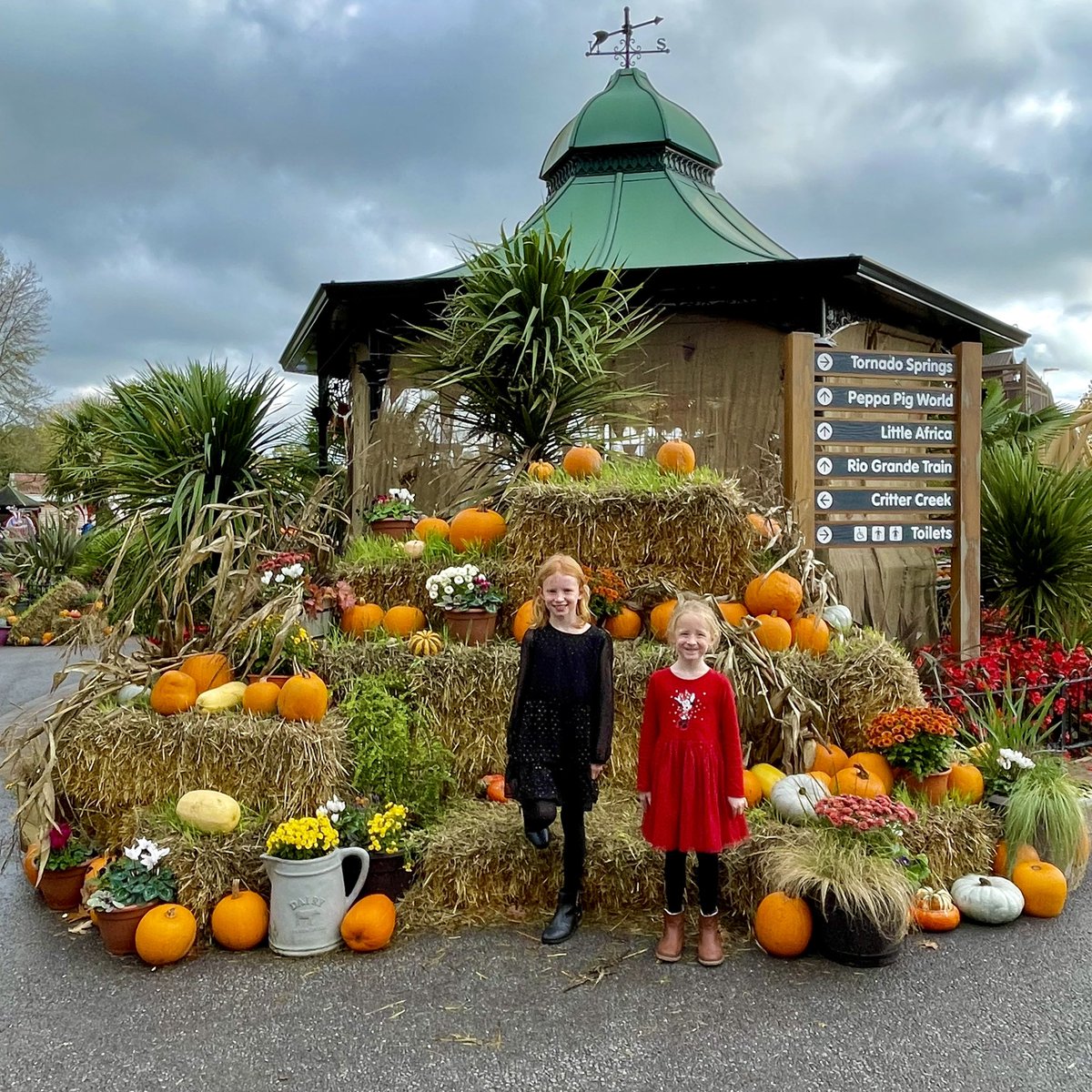 Grey2BlackPhoto's tweet photo. Hi @PaultonsPark, Charlotte and Georgie would like to know how many #pumpkins were purchased to make the amazing themed displays? https://t.co/UOTWfRK3PZ