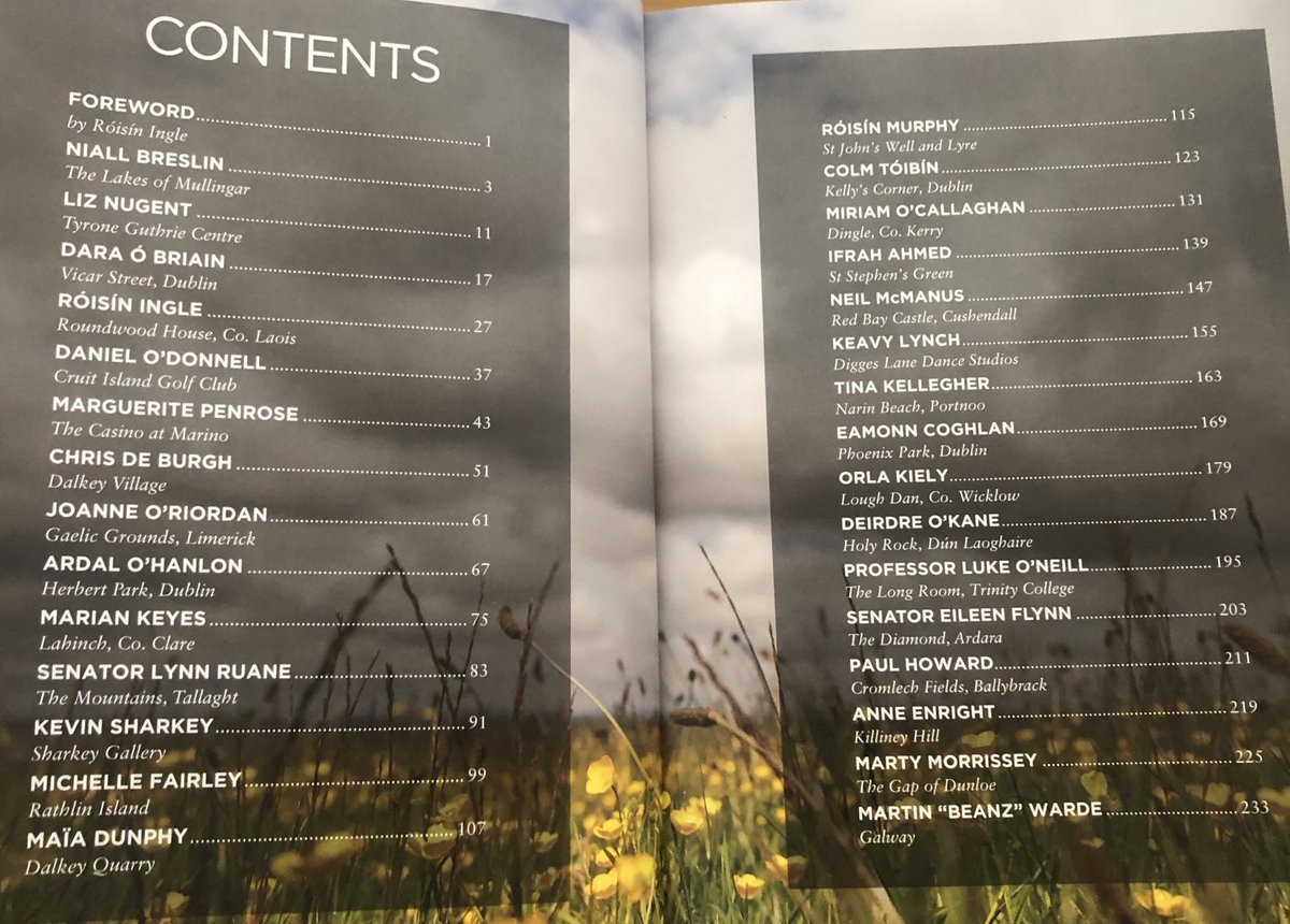 Somewhere in the block universe, younger me can’t believe my name appears anywhere alongside these luminaries! Congratulations on a beautiful anthology @roisiningle , and all for a wonderful cause <a href="/lustforlife/">A Lust For Life</a> ❤️ #MyPerfectPlace #mentalhealth