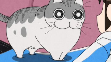 Tvアニメ 夜は猫といっしょ 公式サイト