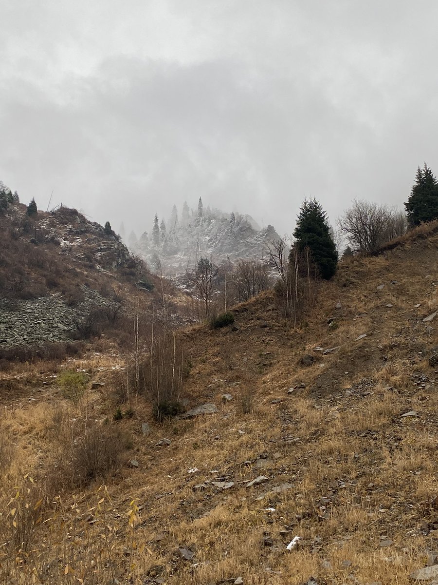 DeadKnight_'s tweet image. Высоковато забрался. Но всегда можно выше 😺