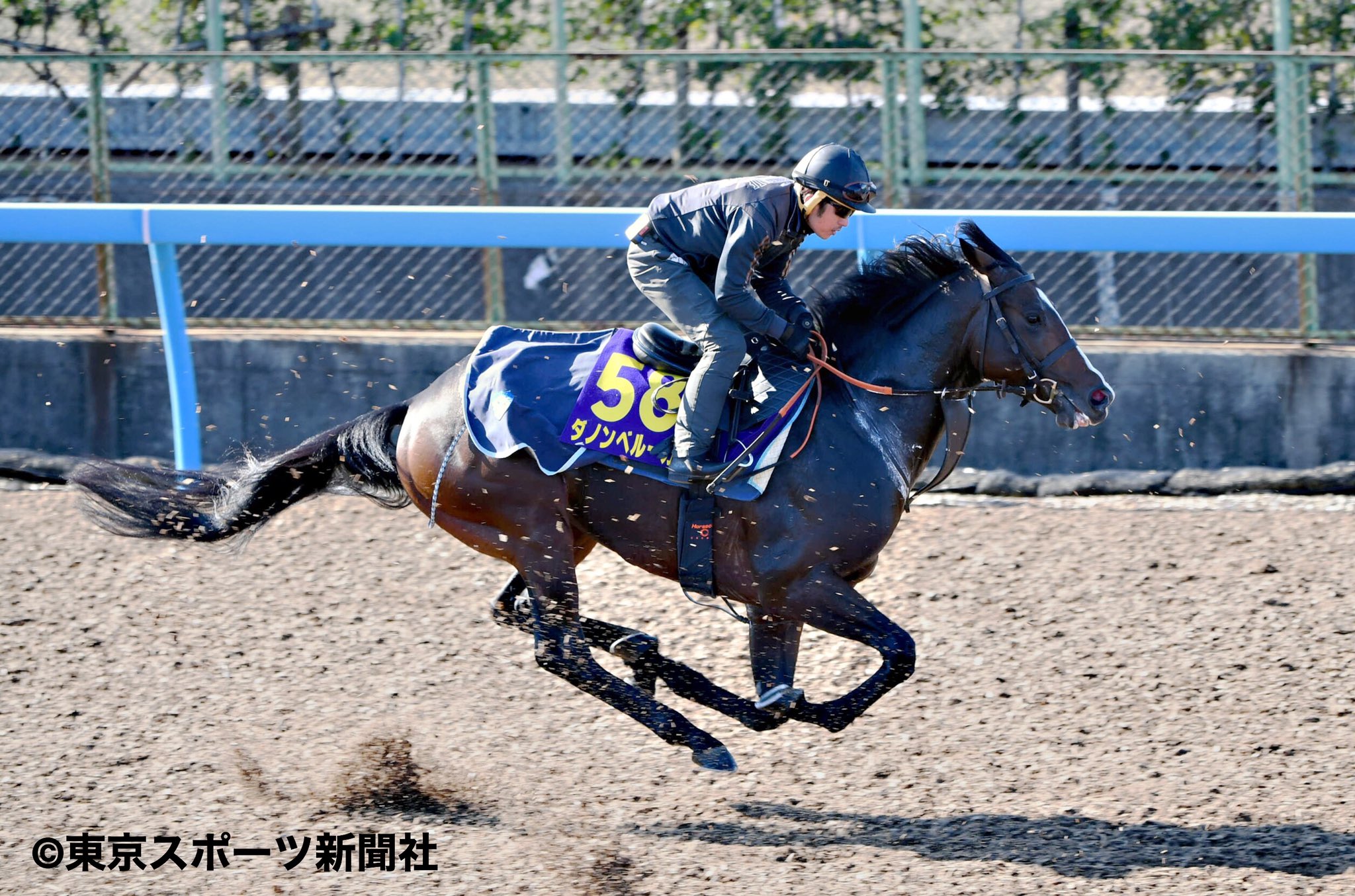 DESCENTE - デサント　プロテクター　競走馬騎乗 藤田菜七子騎手インタビュー】JRA公認メーカーとして日本初の