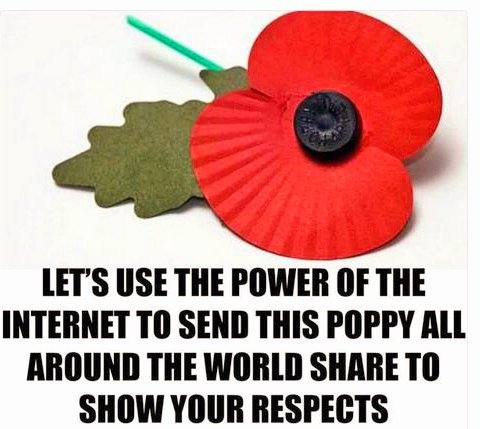 Retweet and pass this poppy on #powerofthepoppy #PoppyAppeal @PoppyLegion