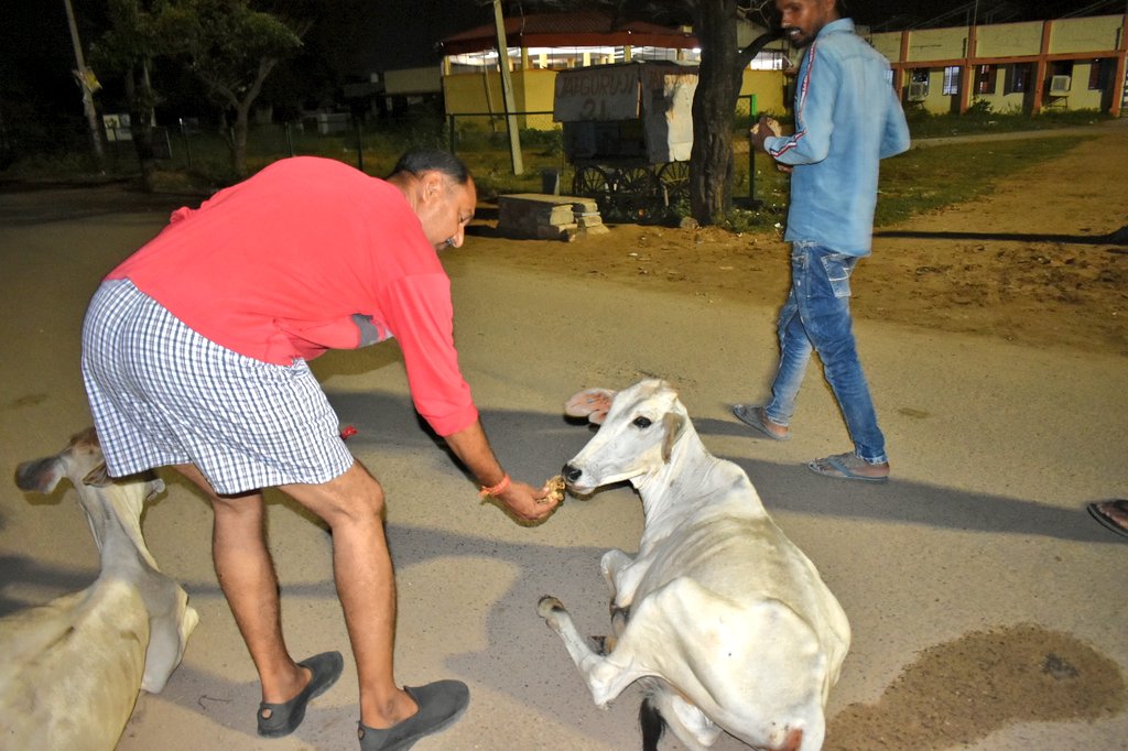 Poojapathak4BJP's tweet photo. #gauumata #lumpyskindisease #BJP4Rajasthan #VasundharaRaje #पूजा_पाठक_जयपुर #rajasthan
#SaveCowSaveEarth #SaveCowSaveVillages
@VasundharaBJP https://t.co/HkQWmRYEHY