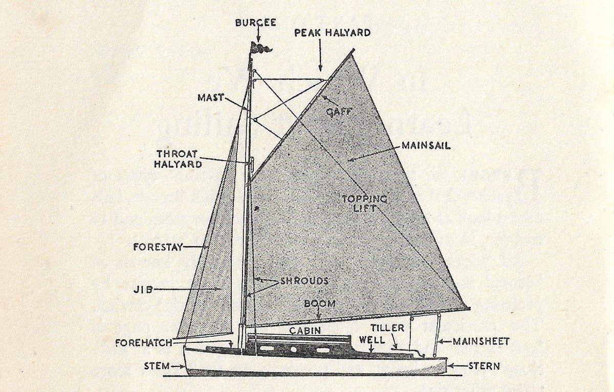 Sally-Ann Bennett tweet media