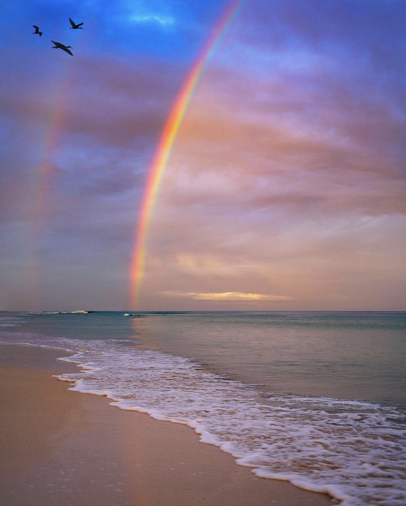 litoranico (@litoranico) on Twitter photo 