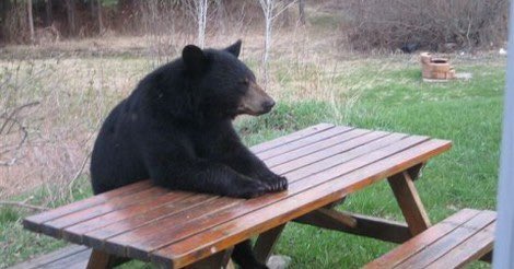 Esperando los 100 euros de beca de octubre