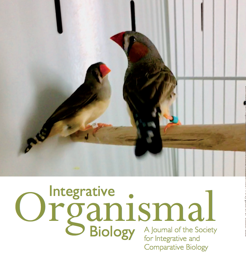 iobjournal's tweet photo. Throwback Thursday- 
in case you missed it...

#Monogamy in a Moment: How do Brief Social #Interactions Change Over Time in Pair-Bonded Zebra #Finches (Taeniopygia guttata)? 

By @NhPrior et al 
https://t.co/MHCxhUK8sk

#birds #orinthology #behavior #sciencetwitter #womeninstem https://t.co/i7ijEiU51e