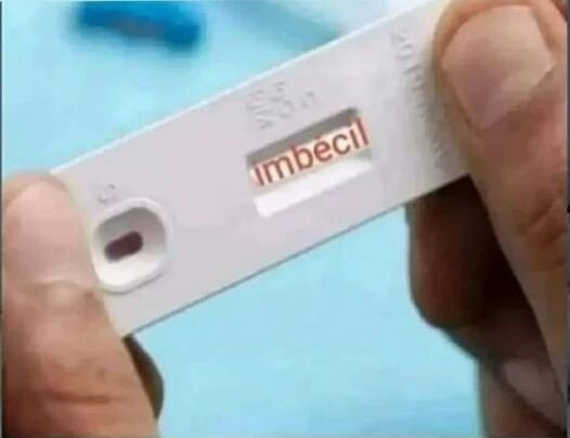 Ya a la venta los nuevos tests que diferencian si eres imbécil o gilipollas...