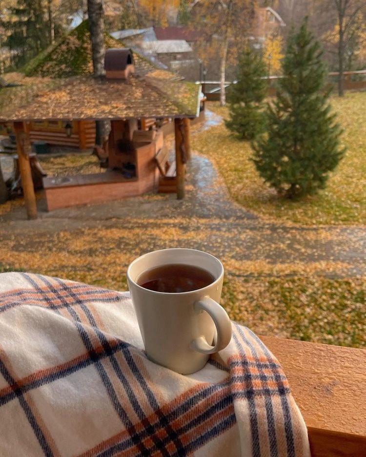 Gm🍁🍂😌 here’s an Autumn pic for your feed